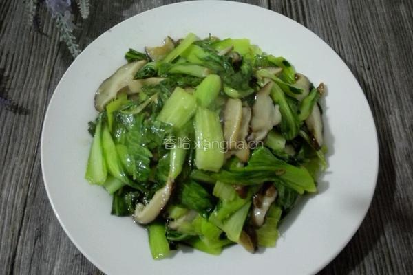 香菇炒油菜（快熟版）的做法图解8
