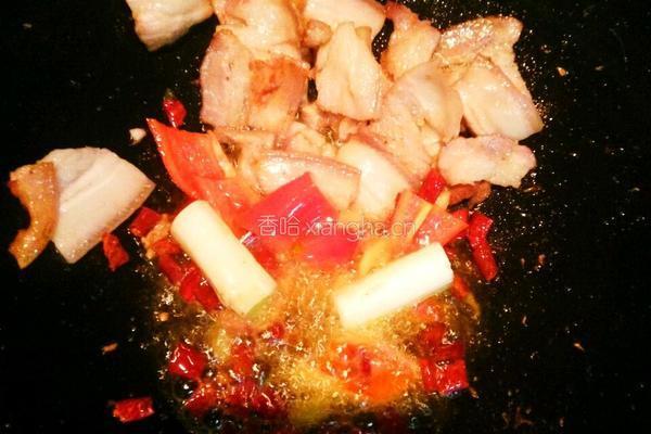 葱爆回锅肉的做法图解8