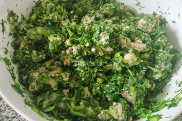 茴香猪肉馅饺子的做法图解8