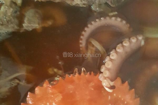 脊骨土豆海鲜锅