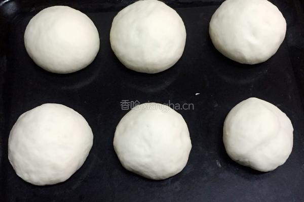 汉堡胚（小餐包）的做法图解10