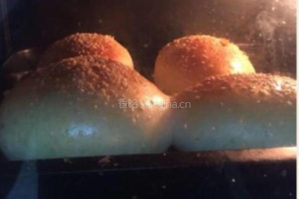 汉堡胚（小餐包）的做法图解13
