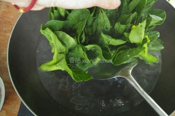 香菇油菜的做法图解7