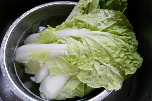酸辣白菜梗的做法图解1