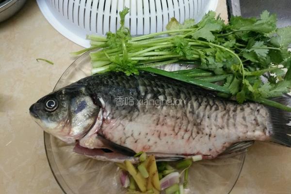 鲫鱼豆腐汤的做法图解1