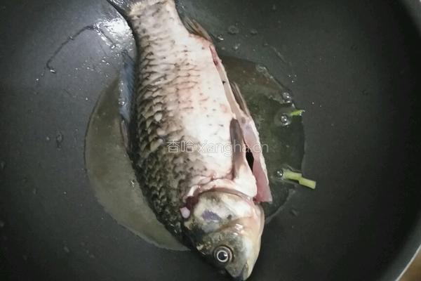 鲫鱼豆腐汤的做法图解3