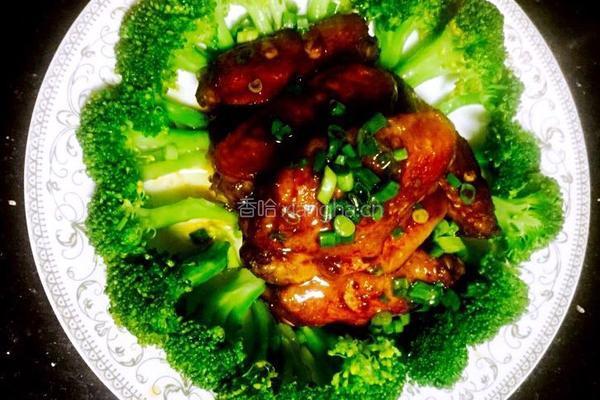 蚝油鸡翅西兰花的做法图解17