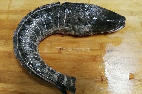红烧黑鱼的做法图解2