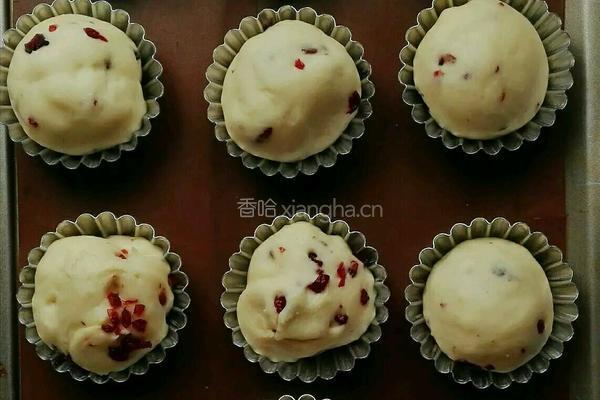 炼乳蔓越莓面包的做法图解4