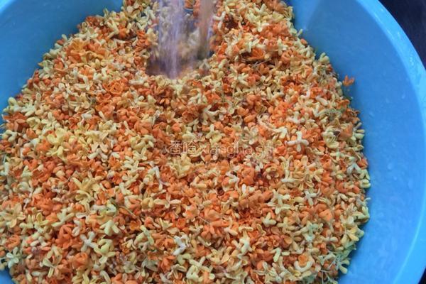 自制桂花干桂花茶的做法图解2