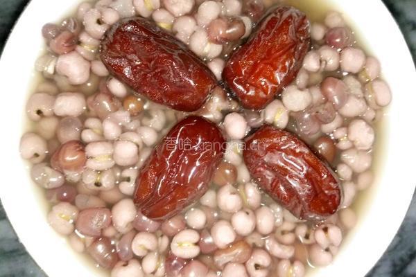 薏米红豆糖水的做法图解4