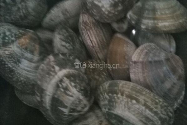 花蛤豆腐汤的做法图解2
