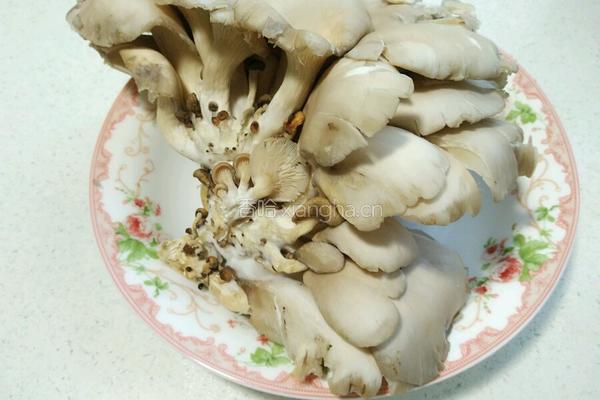 炸蘑菇的做法图解1