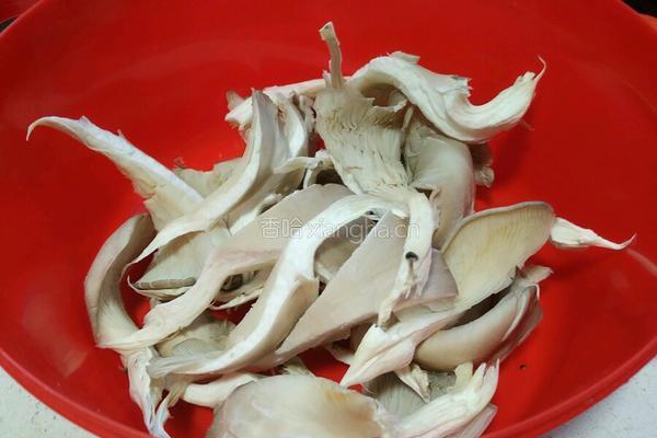 炸蘑菇的做法图解3