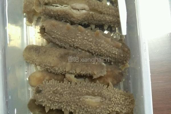 水发海参的做法图解4