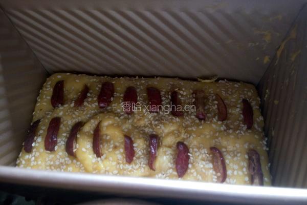 南瓜发糕的做法图解9