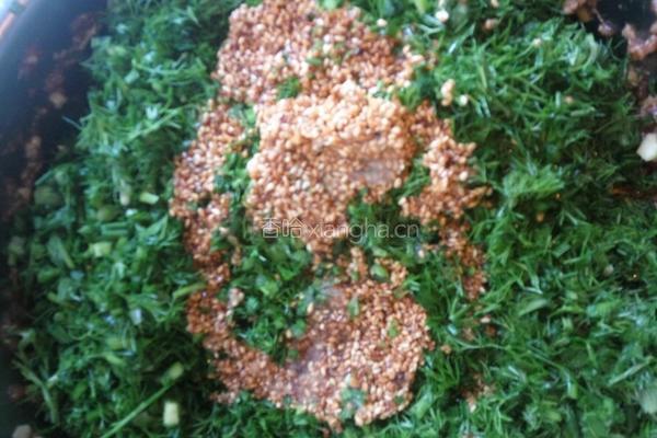 小茴香肉馅饺子的做法图解7