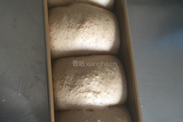 全麦蔓越莓吐司的做法图解8