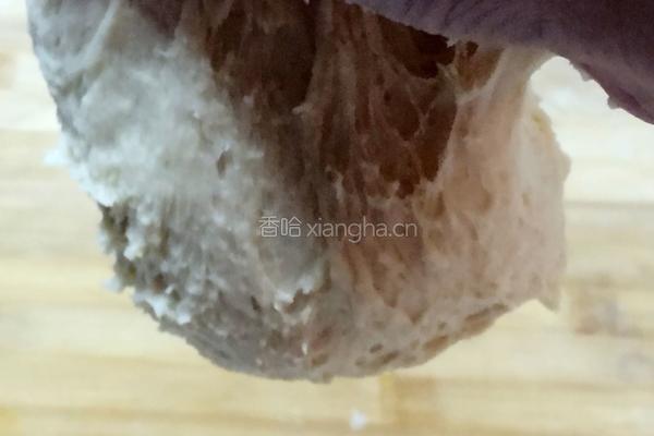 黄油餐包的做法图解6