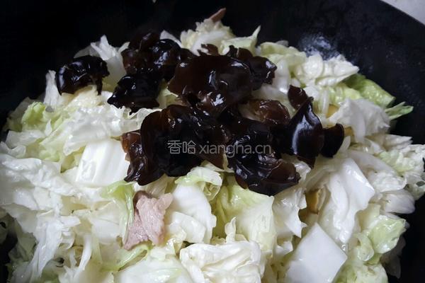 炖白菜的做法图解8
