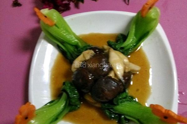 青鸟归巢(青菜三鲜菇)的做法图解9