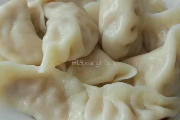 萝卜饺子的做法图解8