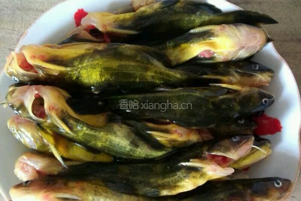 红烧黄丫头的做法图解1