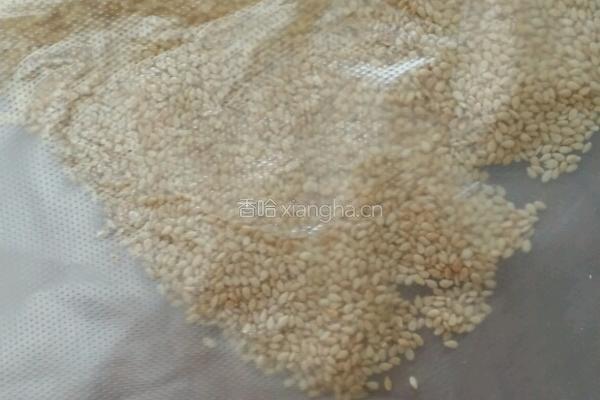 牛奶麻香甜羹的做法图解5