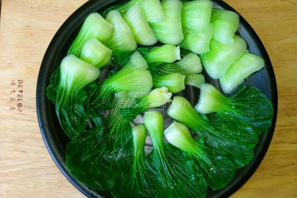 香煎肉饼的做法图解5
