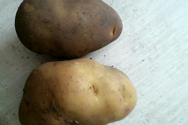 土豆焖米饭的做法图解2