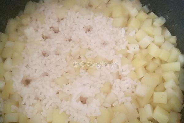 土豆焖米饭的做法图解6