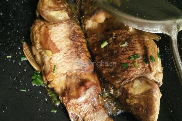 红烧鲤鱼的做法图解5