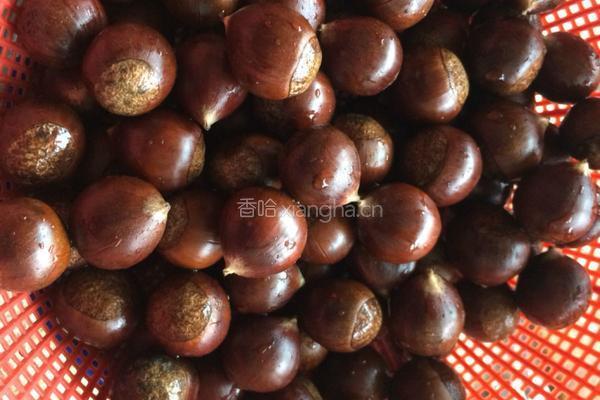 高压锅板栗的做法图解2