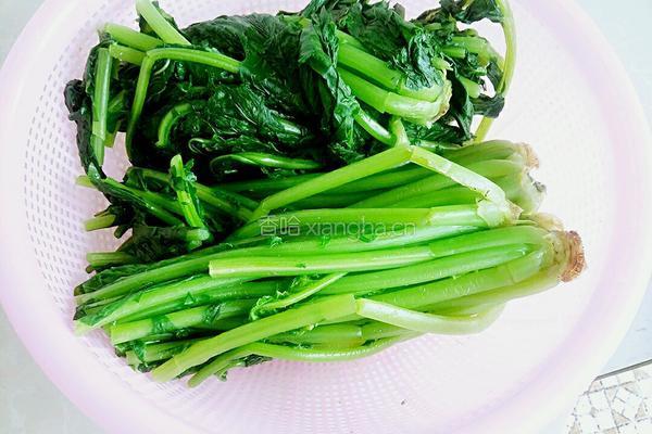 腌萝卜叶咸菜的做法图解5