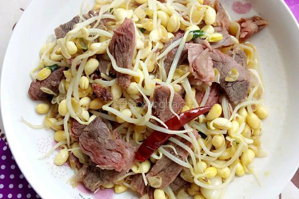 豆芽炒牛肉的做法图解8