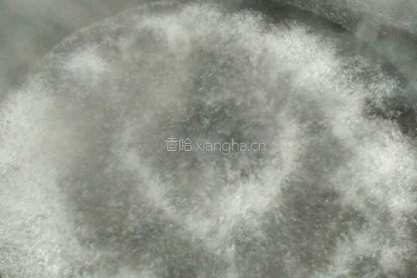 白灼基围虾的做法图解3