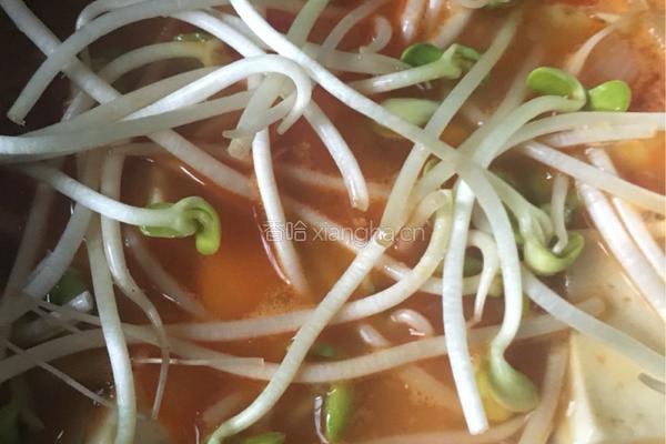 泡菜排骨锅的做法图解12