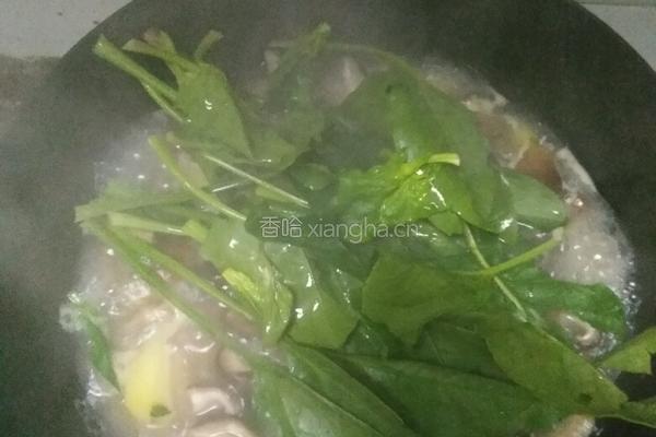 蘑菇炖土豆的做法图解8