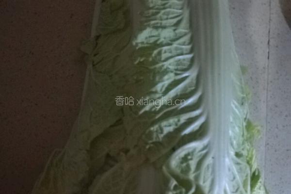 醋溜白菜的做法图解1