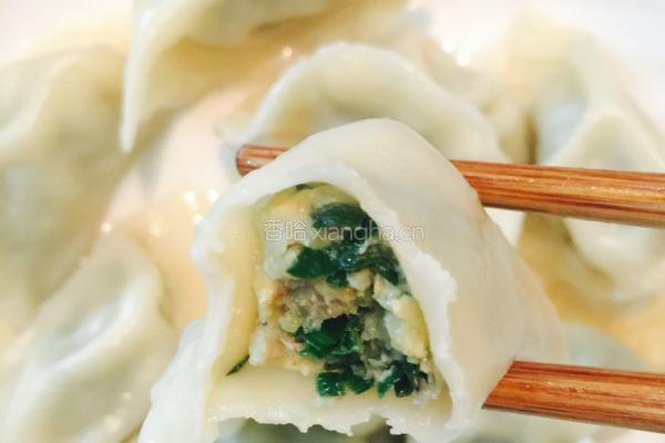 韭菜鸡蛋皮肉馅饺子的做法图解11