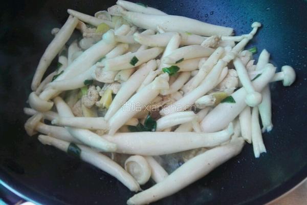 鸡肉炖白玉菇的做法图解5
