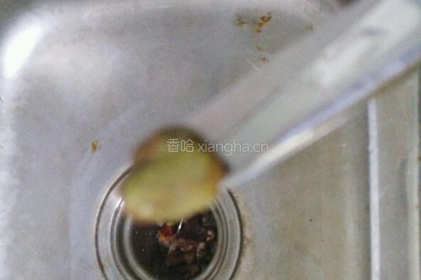 虾的清理的做法图解3