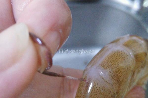 虾的清理的做法图解5