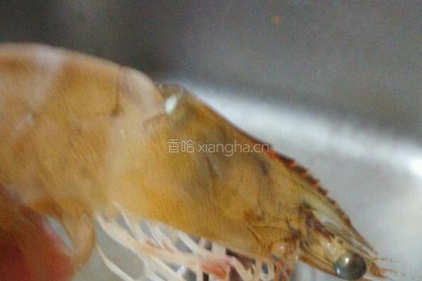 虾的清理的做法图解6