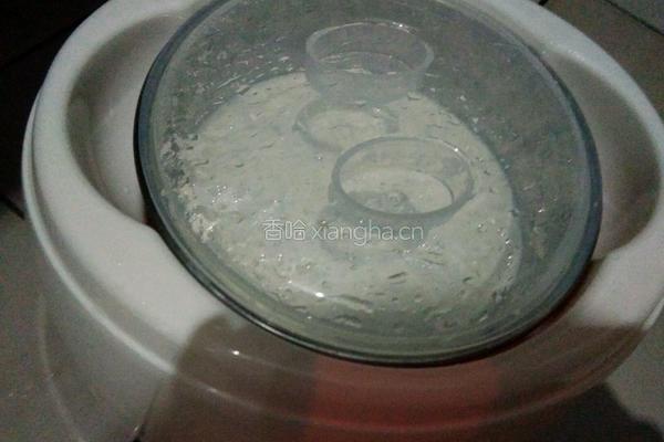 自制酸奶的做法图解10