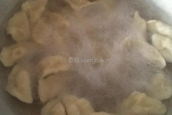 大虾猪肉水饺的做法图解35