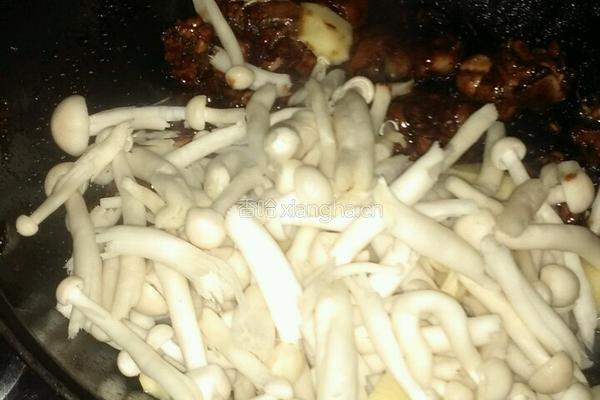 红烧海鲜菇鸡腿肉的做法图解15