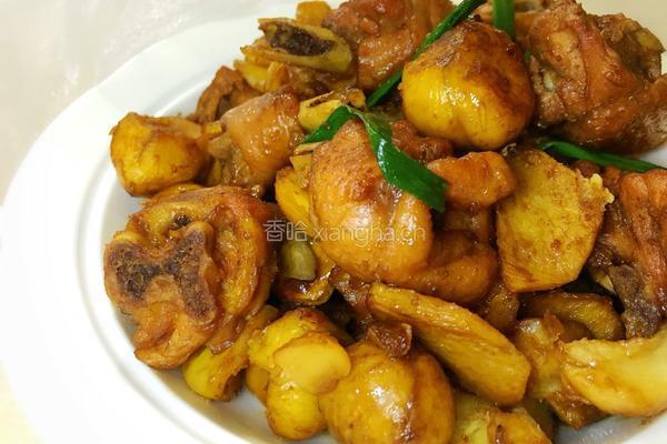 板栗焖鸡肉的做法图解16