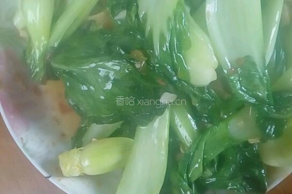 蒜香油菜的做法图解6