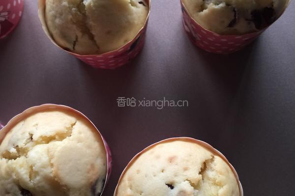 蔓越莓酸奶马芬的做法图解8